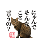 KIJIMARU スタンプ Part4_改訂（個別スタンプ：38）