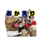 よぞかけ（個別スタンプ：12）