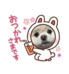 街の人気者raimukun（個別スタンプ：2）