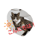 ぺぺのすたんぷ二号（個別スタンプ：2）
