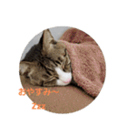 ぺぺのすたんぷ二号（個別スタンプ：4）
