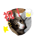 ぺぺのすたんぷ二号（個別スタンプ：6）