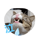 ぺぺのすたんぷ二号（個別スタンプ：7）