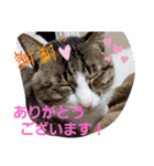 ぺぺのすたんぷ二号（個別スタンプ：8）