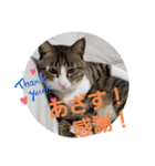 ぺぺのすたんぷ二号（個別スタンプ：10）