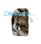 ぺぺのすたんぷ二号（個別スタンプ：12）