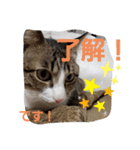 ぺぺのすたんぷ二号（個別スタンプ：14）