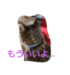 ぺぺのすたんぷ二号（個別スタンプ：24）