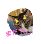 ぺぺのすたんぷ二号（個別スタンプ：29）