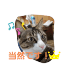 ぺぺのすたんぷ二号（個別スタンプ：30）