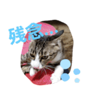 ぺぺのすたんぷ二号（個別スタンプ：38）