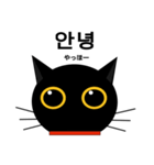 black cat tete 韓国語編（個別スタンプ：1）