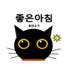black cat tete 韓国語編（個別スタンプ：9）