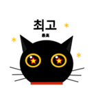 black cat tete 韓国語編（個別スタンプ：10）