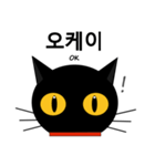 black cat tete 韓国語編（個別スタンプ：13）