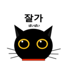 black cat tete 韓国語編（個別スタンプ：17）