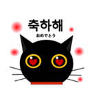 black cat tete 韓国語編（個別スタンプ：20）