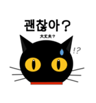 black cat tete 韓国語編（個別スタンプ：21）