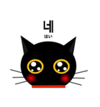 black cat tete 韓国語編（個別スタンプ：24）