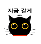 black cat tete 韓国語編（個別スタンプ：25）