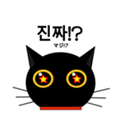 black cat tete 韓国語編（個別スタンプ：26）