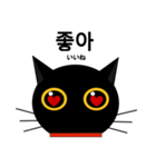 black cat tete 韓国語編（個別スタンプ：28）