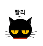 black cat tete 韓国語編（個別スタンプ：30）
