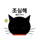 black cat tete 韓国語編（個別スタンプ：31）