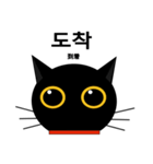 black cat tete 韓国語編（個別スタンプ：33）