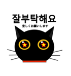 black cat tete 韓国語編（個別スタンプ：34）
