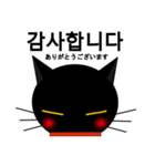 black cat tete 韓国語編（個別スタンプ：35）