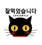 black cat tete 韓国語編（個別スタンプ：37）