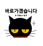 black cat tete 韓国語編（個別スタンプ：38）