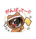 モコ✩（個別スタンプ：4）