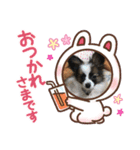 モコ✩（個別スタンプ：6）