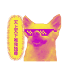 なにか言いたそうな犬（個別スタンプ：24）