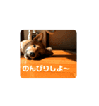 もなかスタンプversion1（個別スタンプ：4）