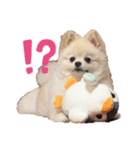 マイペースこてつの日常1（個別スタンプ：2）