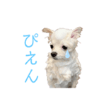 マイペースこてつの日常1（個別スタンプ：4）