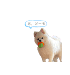 マイペースこてつの日常1（個別スタンプ：6）