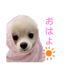 マイペースこてつの日常1（個別スタンプ：8）