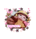 とく日常スタンプ（個別スタンプ：10）