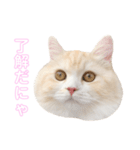 mugi stamp ①（個別スタンプ：3）