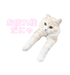 mugi stamp ①（個別スタンプ：5）