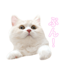 mugi stamp ①（個別スタンプ：6）