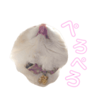 mugi stamp ①（個別スタンプ：10）