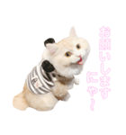 mugi stamp ①（個別スタンプ：11）