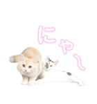 mugi stamp ①（個別スタンプ：14）