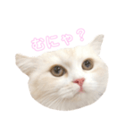 mugi stamp ①（個別スタンプ：15）