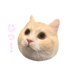 mugi stamp ①（個別スタンプ：16）